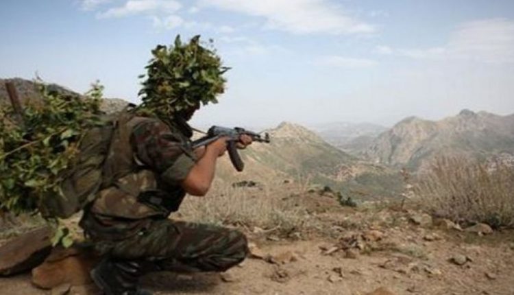 كشف وتدمير أربع (04) قنابل تقليدية الصنع..الراية نت