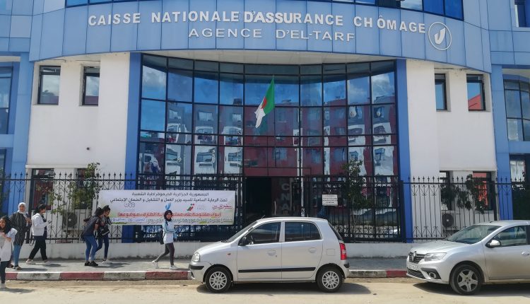 وكالة الطارف للصندوق الوطني للتامين عن البطالة (CNAC)