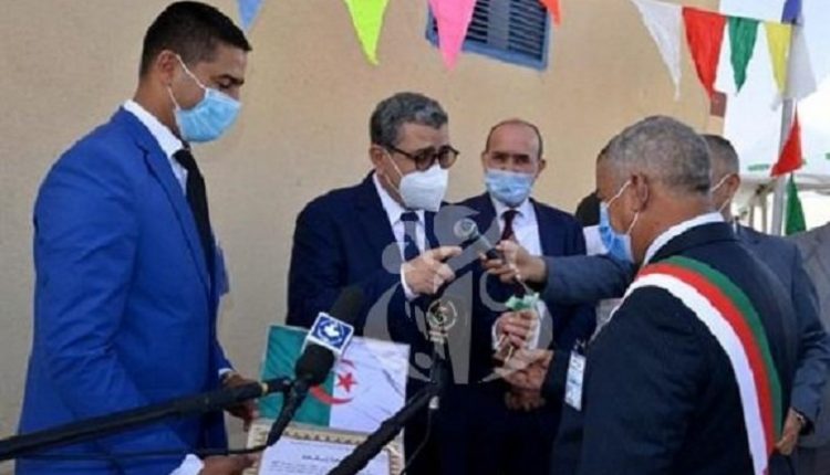 جراد (صورة أرشيف)