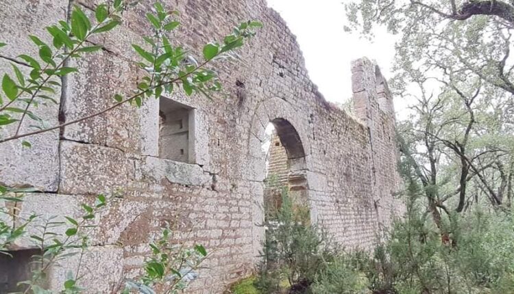 323634823_534023088544609_589247838413192367_n – Copie – Copie