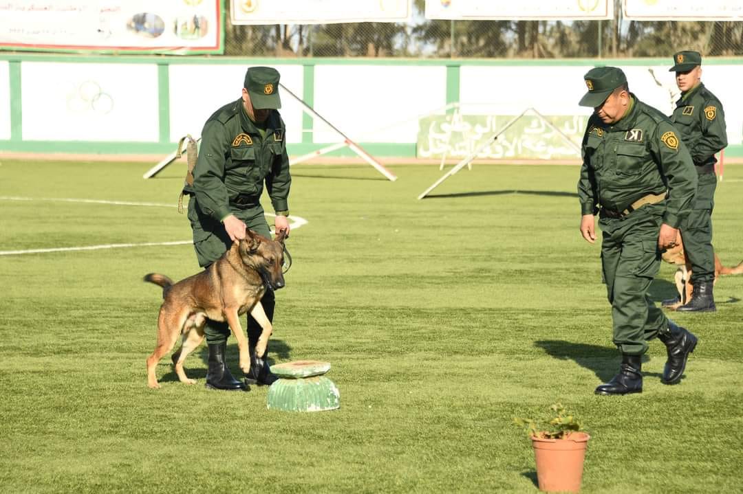 انطلاق فعاليات البطولة الوطنية العسكرية "السينوتقنية "