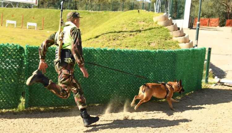 انطلاق فعاليات البطولة الوطنية العسكرية “السينوتقنية “