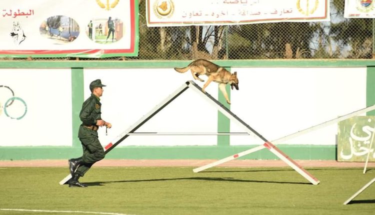 انطلاق فعاليات البطولة الوطنية العسكرية "السينوتقنية "