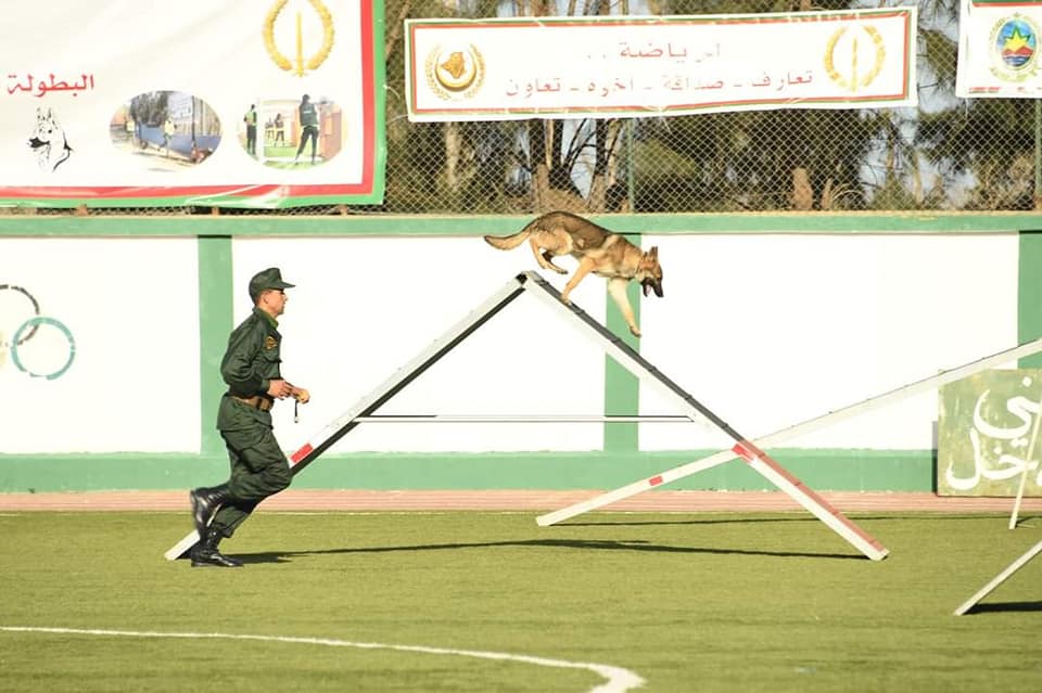 انطلاق فعاليات البطولة الوطنية العسكرية "السينوتقنية "