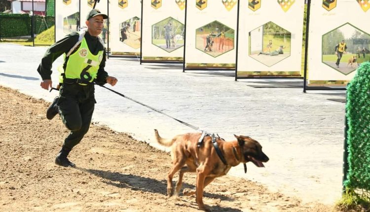 انطلاق فعاليات البطولة الوطنية العسكرية “السينوتقنية “