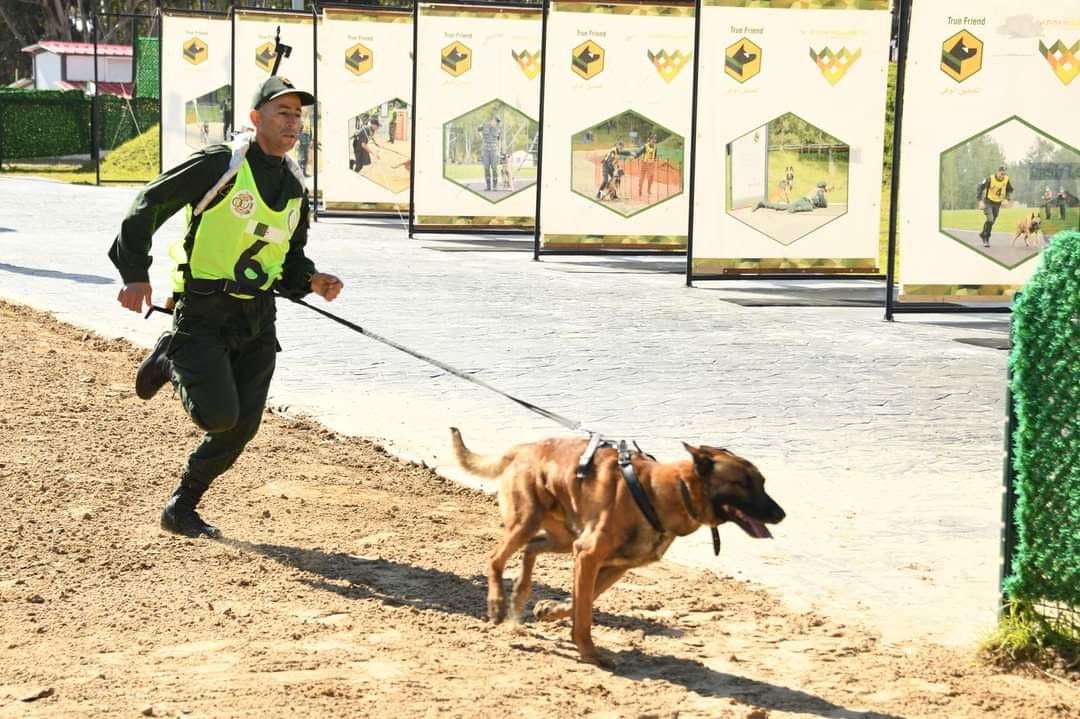 انطلاق فعاليات البطولة الوطنية العسكرية "السينوتقنية "