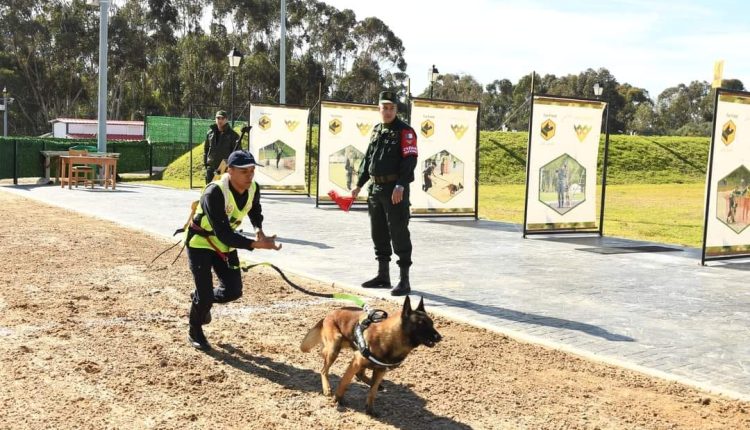 انطلاق فعاليات البطولة الوطنية العسكرية “السينوتقنية “