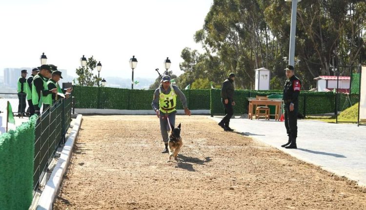 انطلاق فعاليات البطولة الوطنية العسكرية “السينوتقنية “